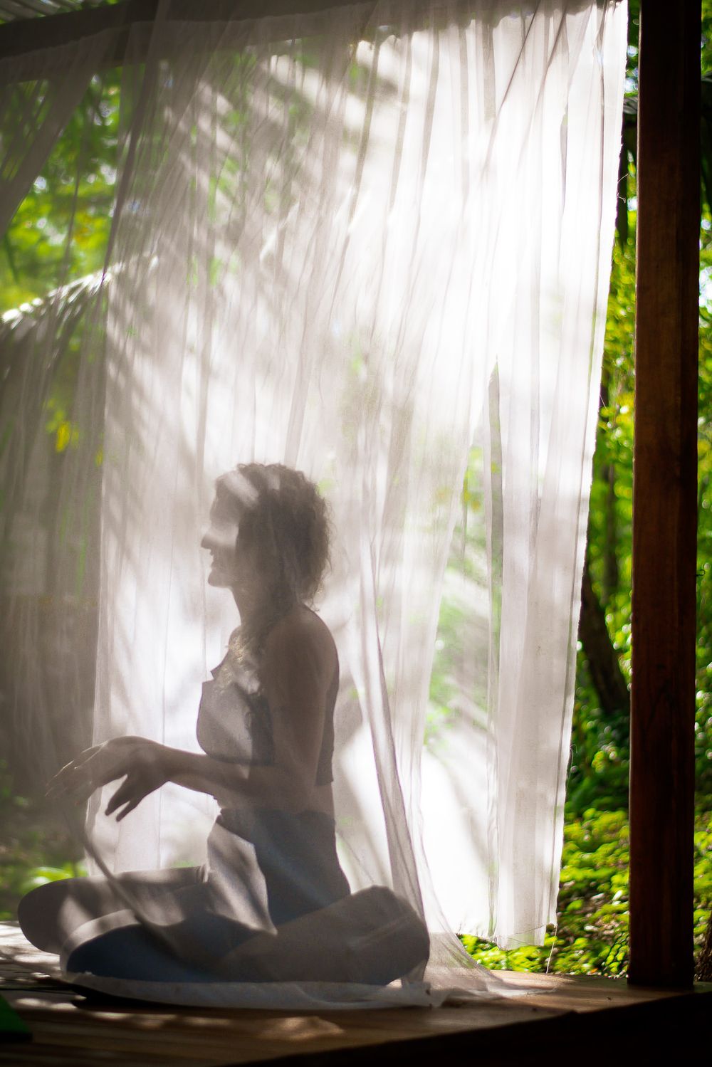 Silhouette behind sheer white curtains in a sunlit forest setting.