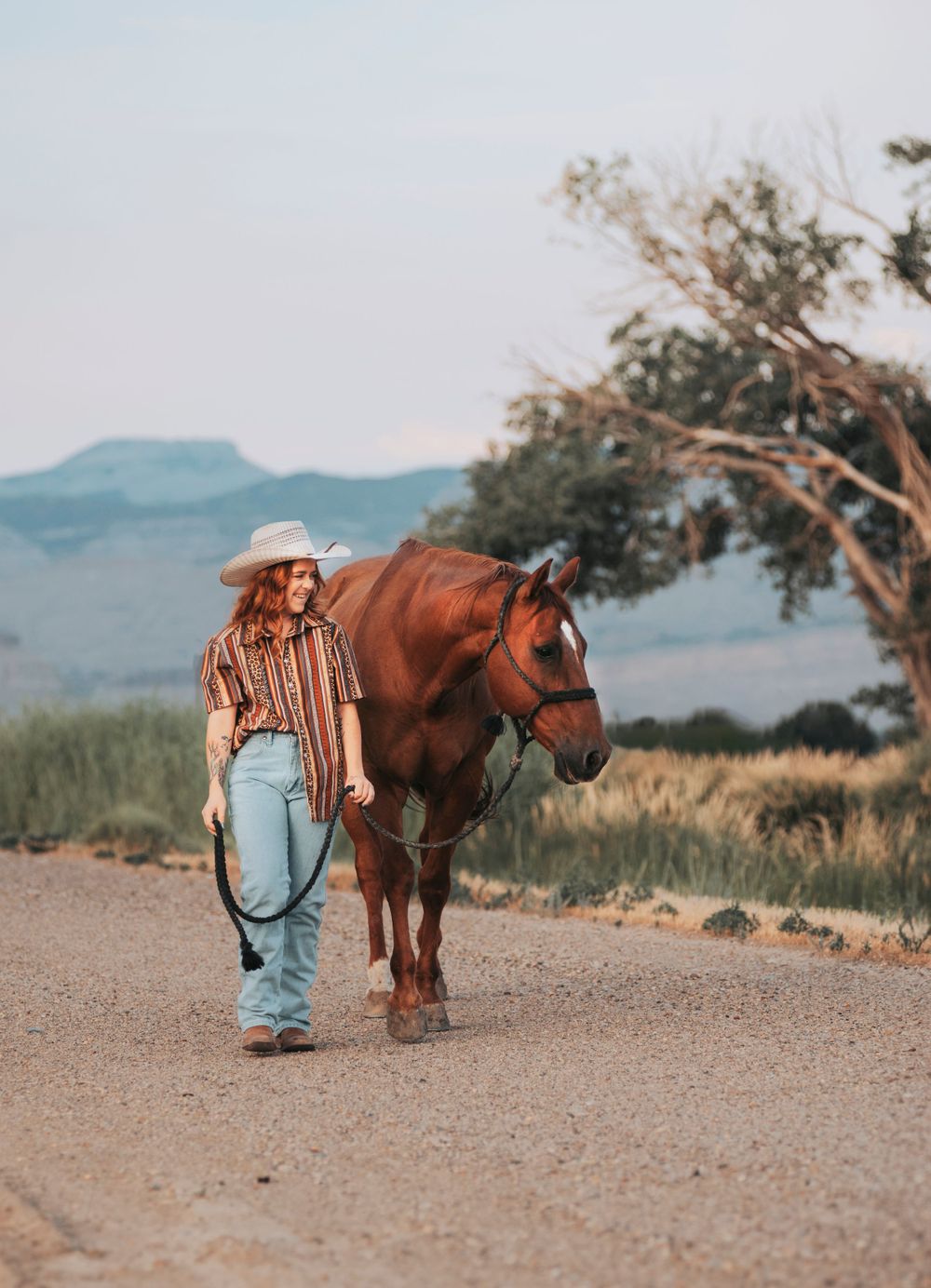 Casual country style with horse walking along dusty mountain trail at sunset.
