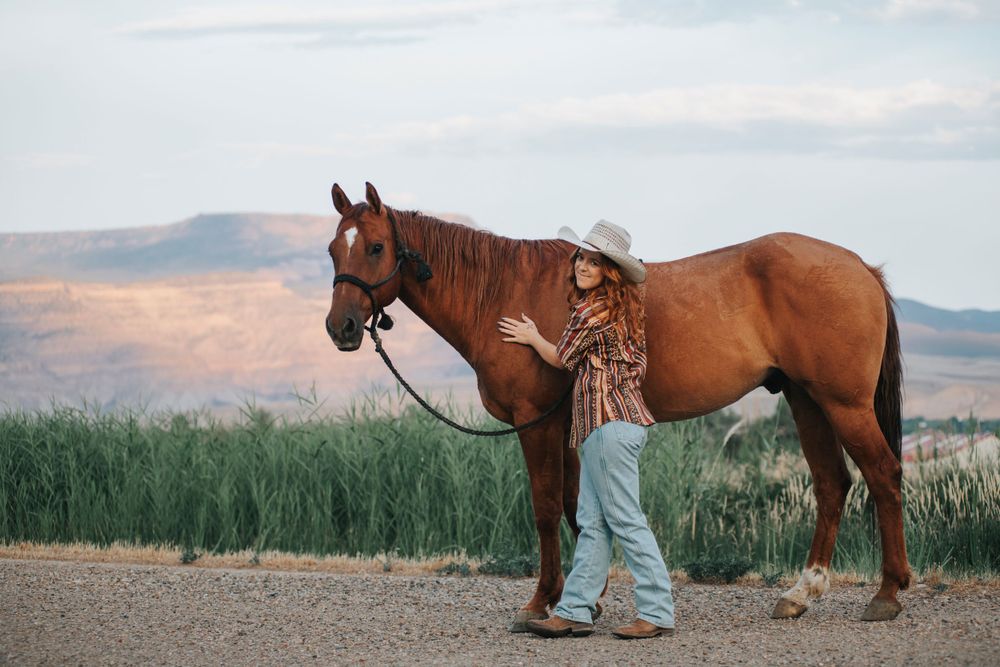 Beautiful chestnut horse and rider on dirt path with mountains in background.