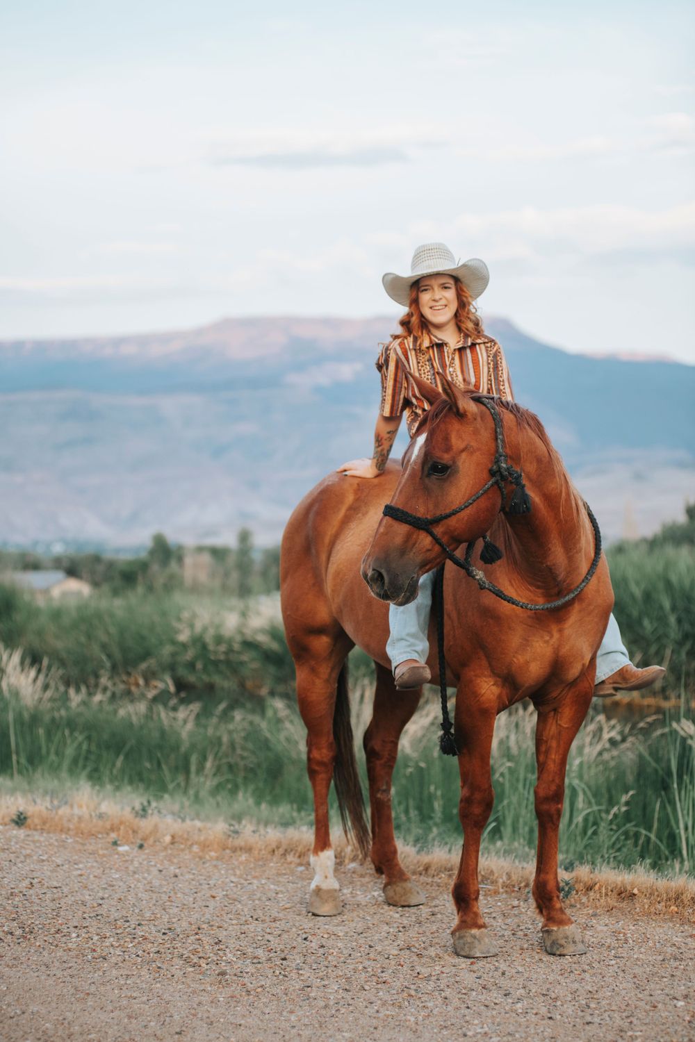 Western style equestrian scene with chestnut horse on mountain trail.