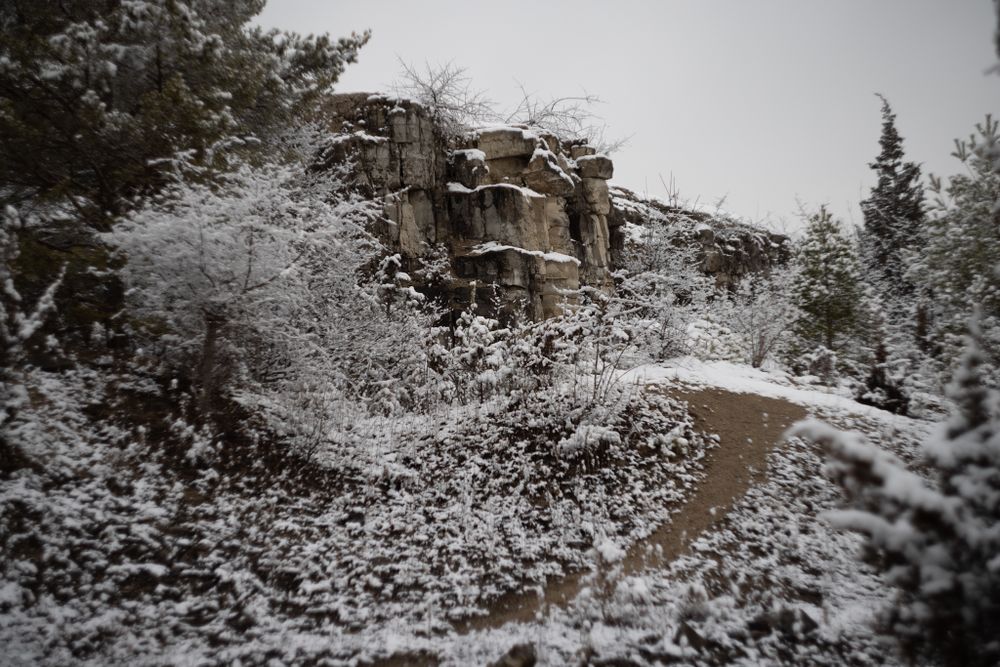 snow covered path amongst cliffs and pine trees
