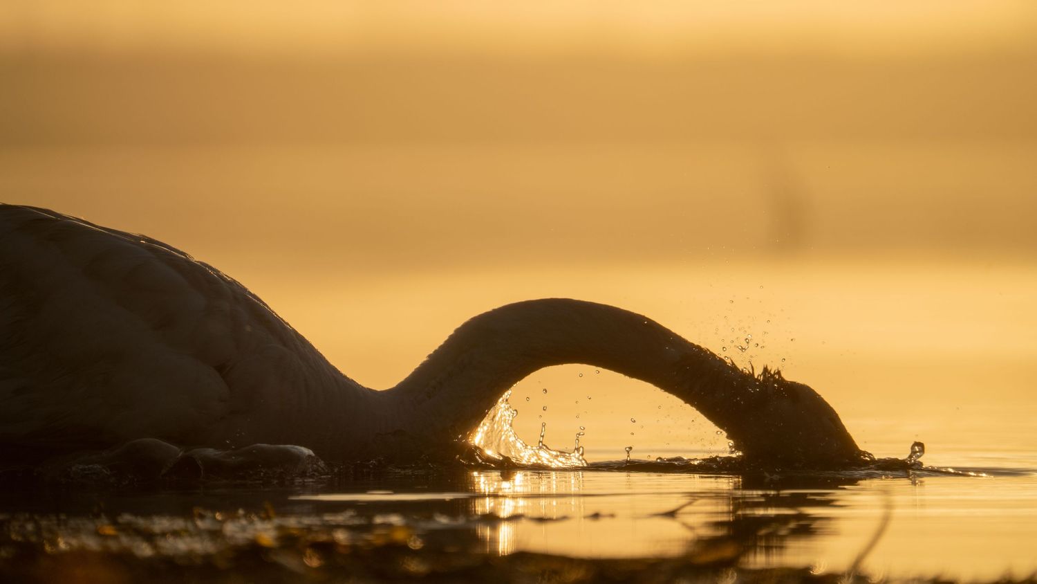 Golden sunset over water with silhouetted arches creating dramatic shadows.