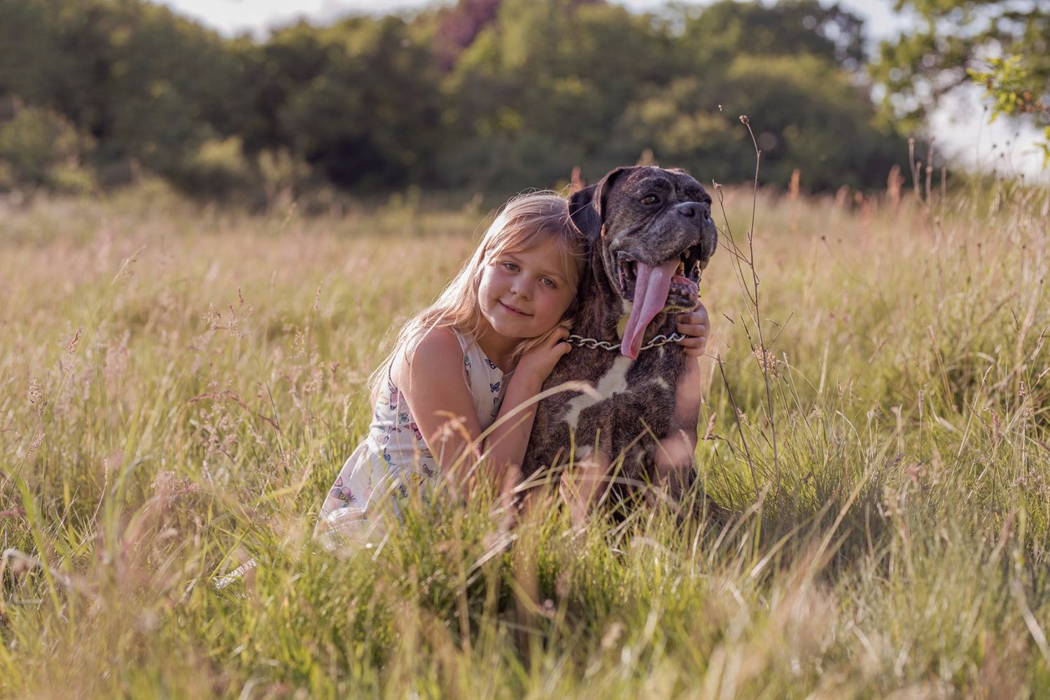Children play with puppies in a sunny meadow with tall grass and trees in the background.