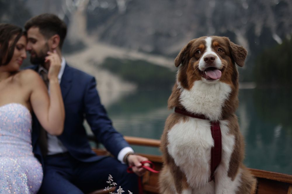 Happy Australian Shepherd dog sits with couple in boat on Lago di Braies.