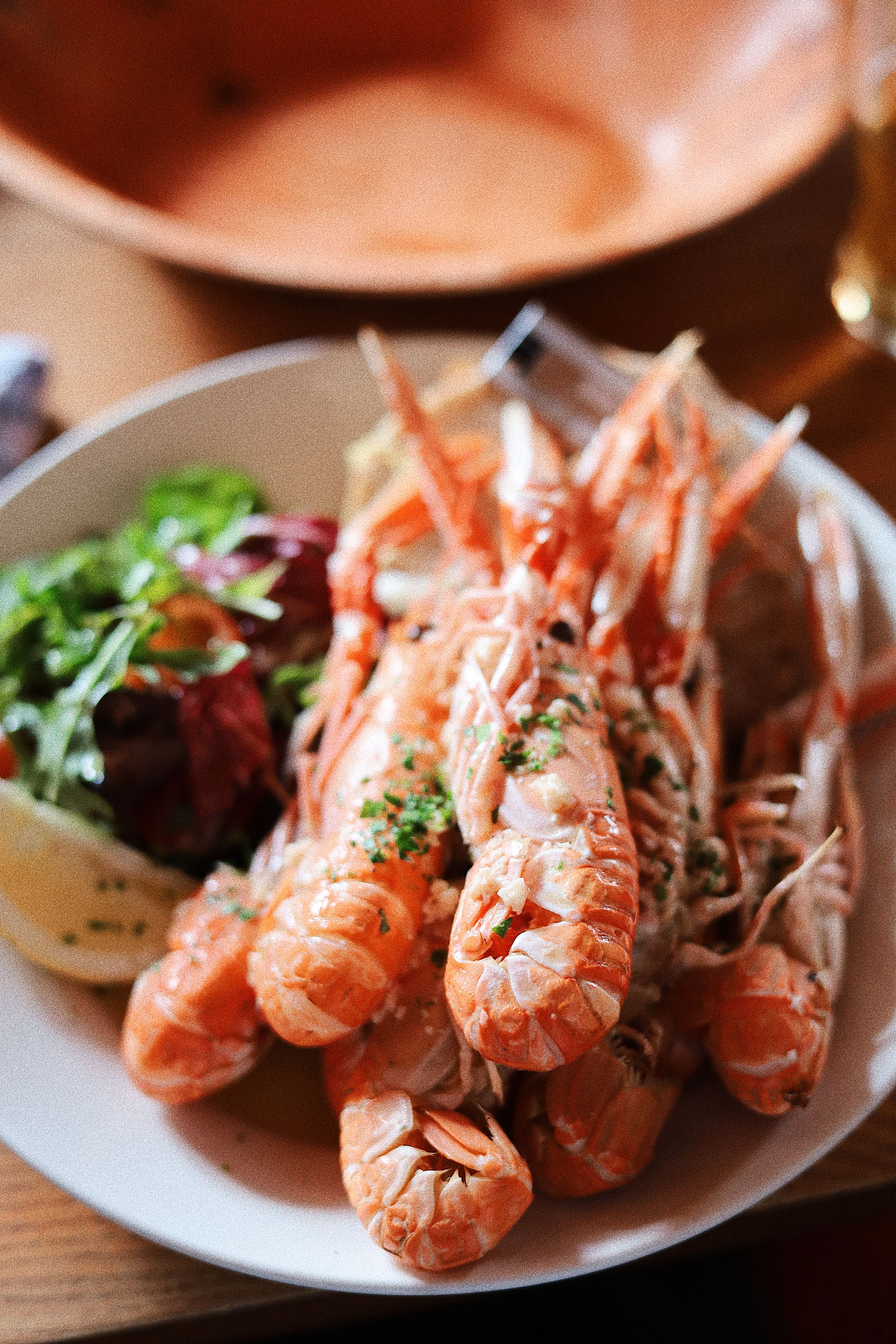 Fresh cooked prawns garnished with herbs arranged on white plates in sequence.