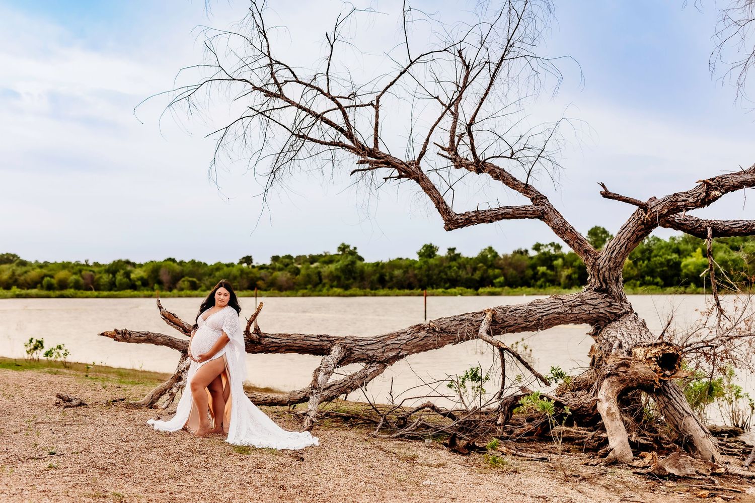 Wedding photo session by a fallen tree on a beach shore.