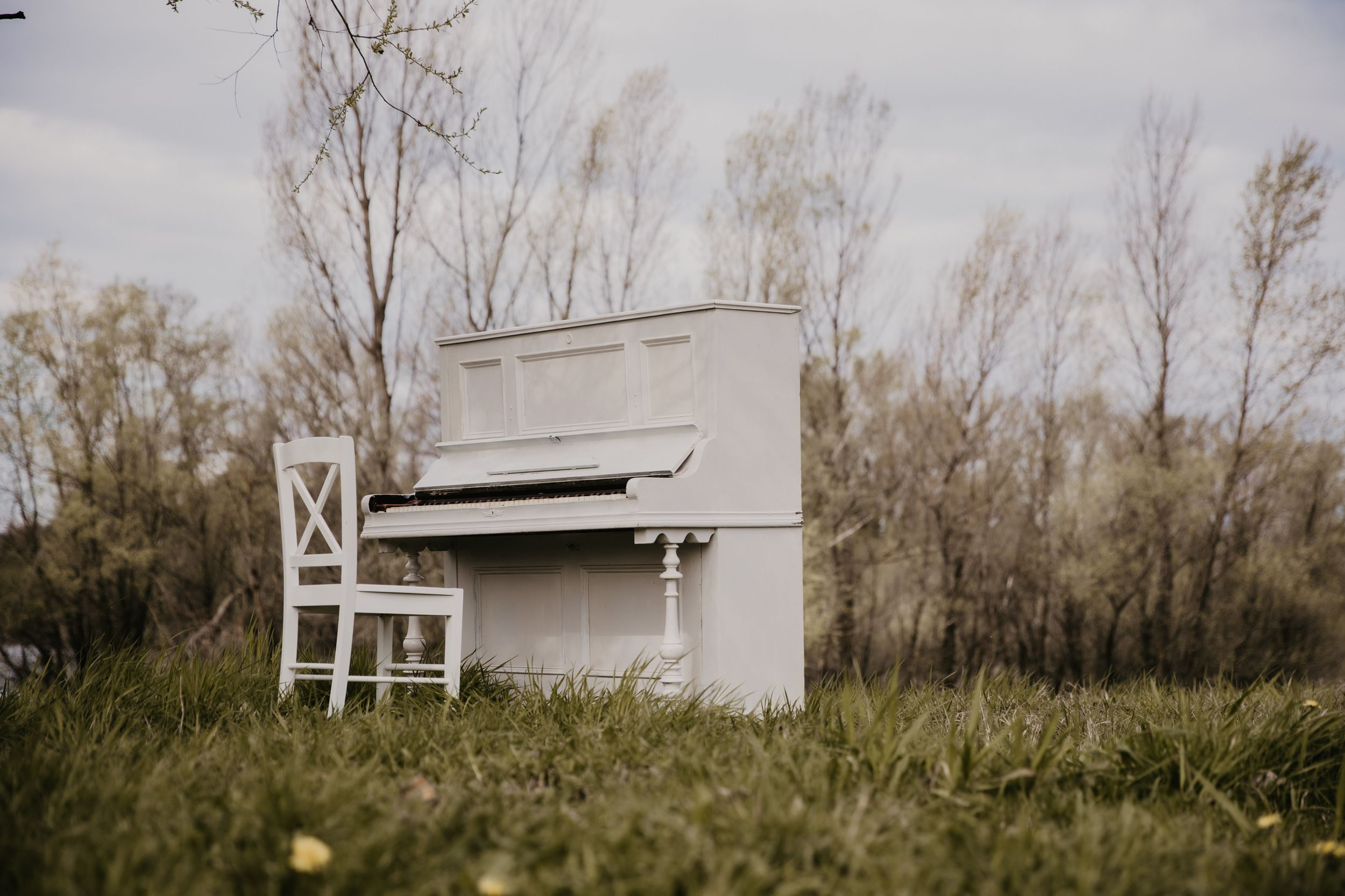 White upright piano with matching chair sits alone in natural outdoor setting.