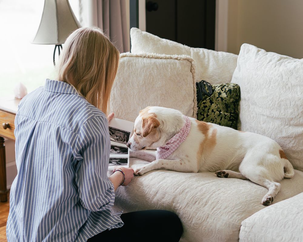 Mother and Dog Photography