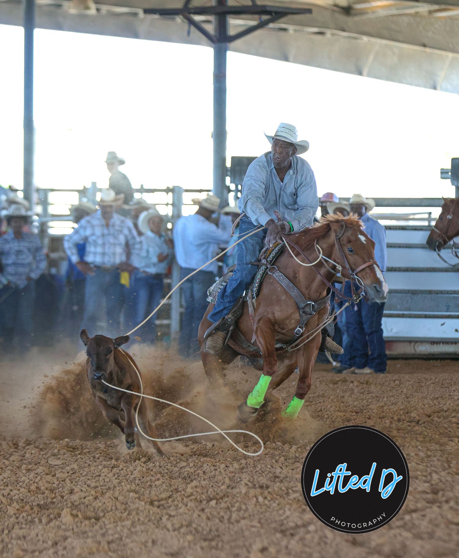 This image belongs to Lifted D Photography!