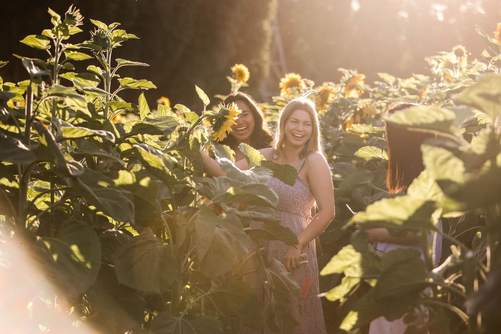 Two young women smiling among tall sunflowers in golden sunlight.