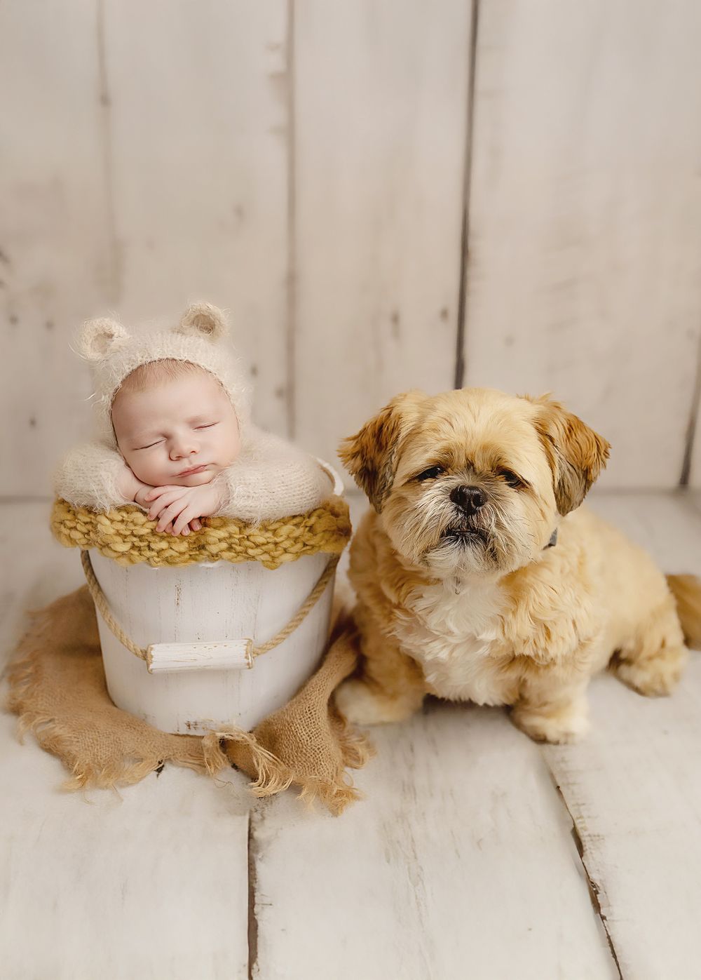 Photo of baby and his dog, taken in Coventry.