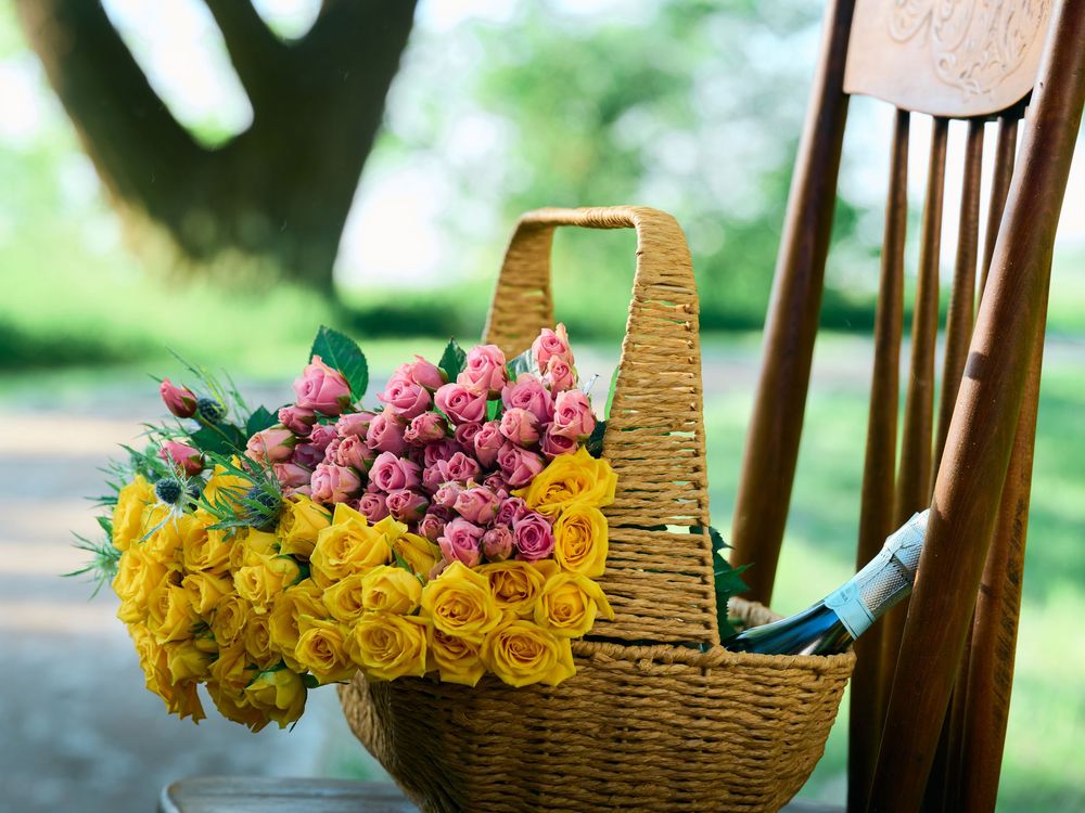 Colorful arrangement of yellow roses and purple grapes displayed in rustic wicker baskets on wooden chairs outdoors.