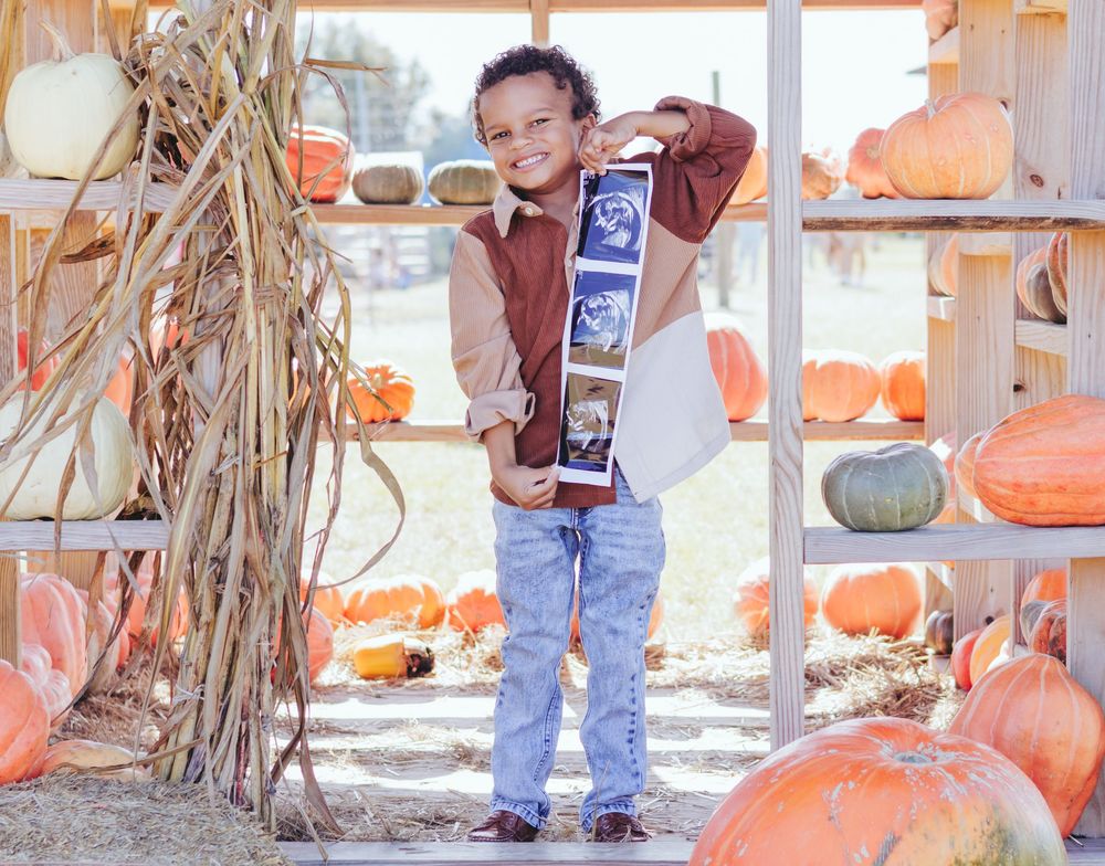Big brother announcement, bright pumpkins, fall pregnancy announcment, Dade City.