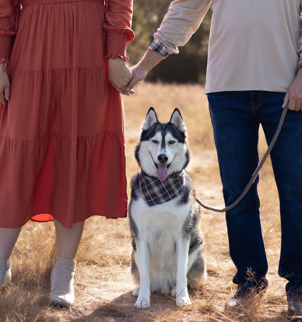 Family photos, dog parents, dog mom, dog dad.