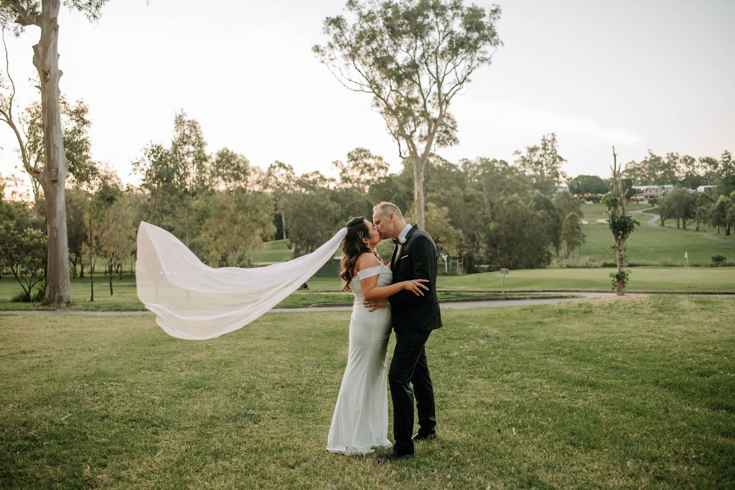 A romantic wedding photo with a flowing veil caught in the breeze on a scenic grassy hill with eucalyptus trees.