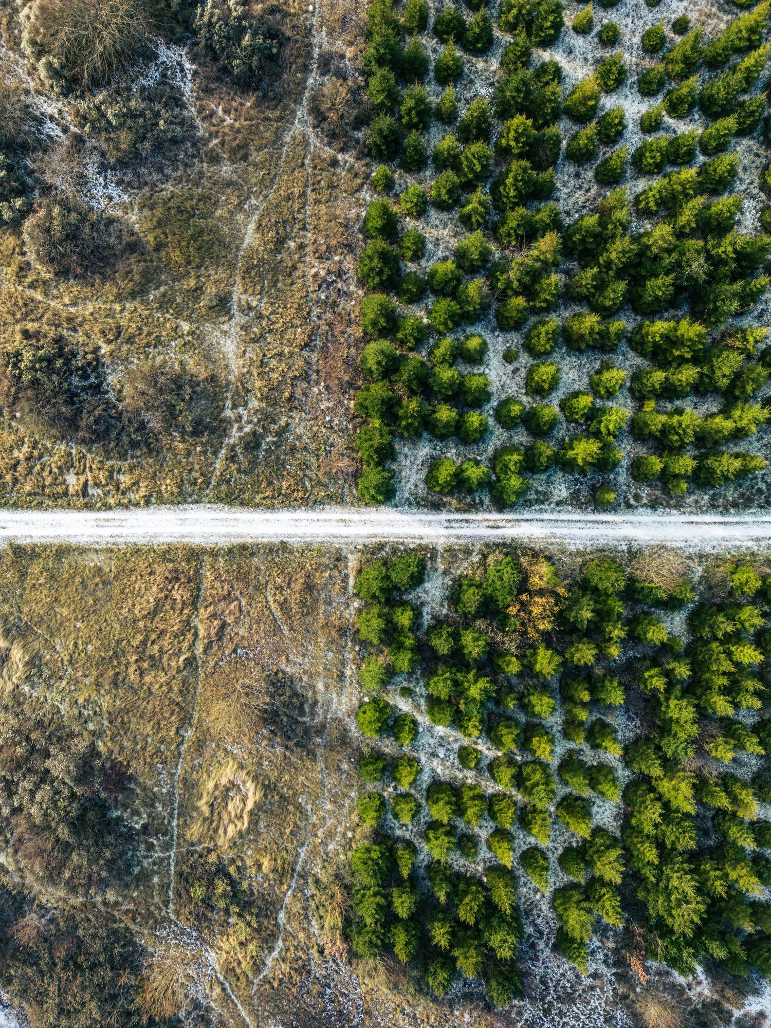 Ravnbak og Far er fotografer med base i Trekroner, Roskilde