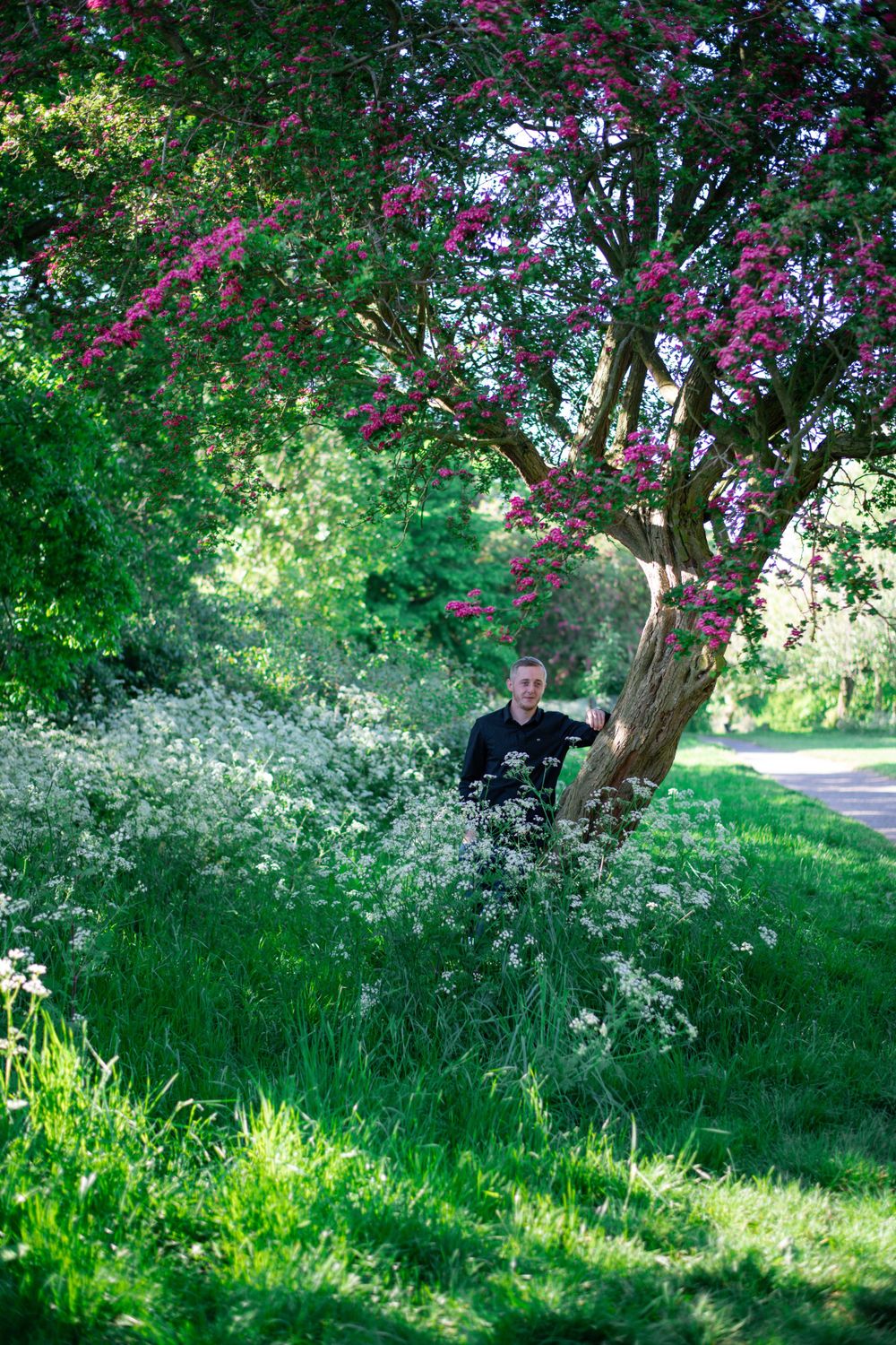 Person sitting under blooming pink tree with white wildflowers in foreground.