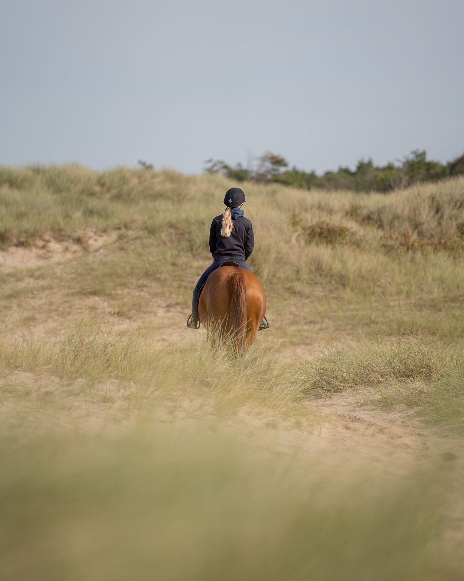 Fotografering med Bogö Equestrian och Lady Gaga på stranden