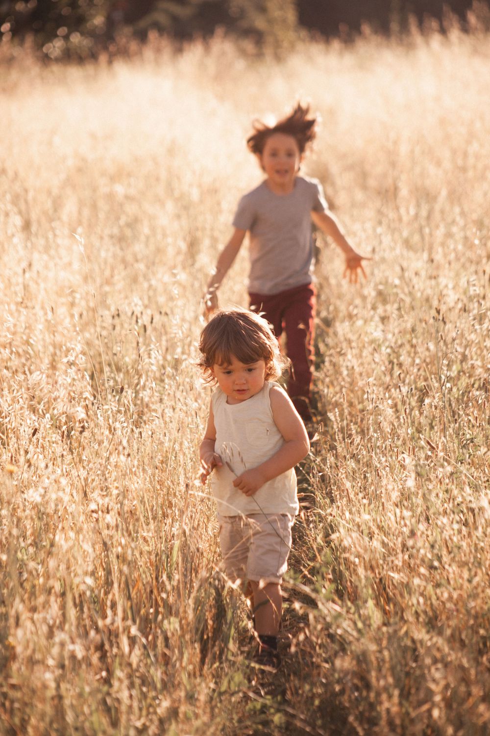 fratelli che giocano in un campo di spighe a giugno , corse felicità, sessione fotografica primavera nella campagna in provincia di Milano
