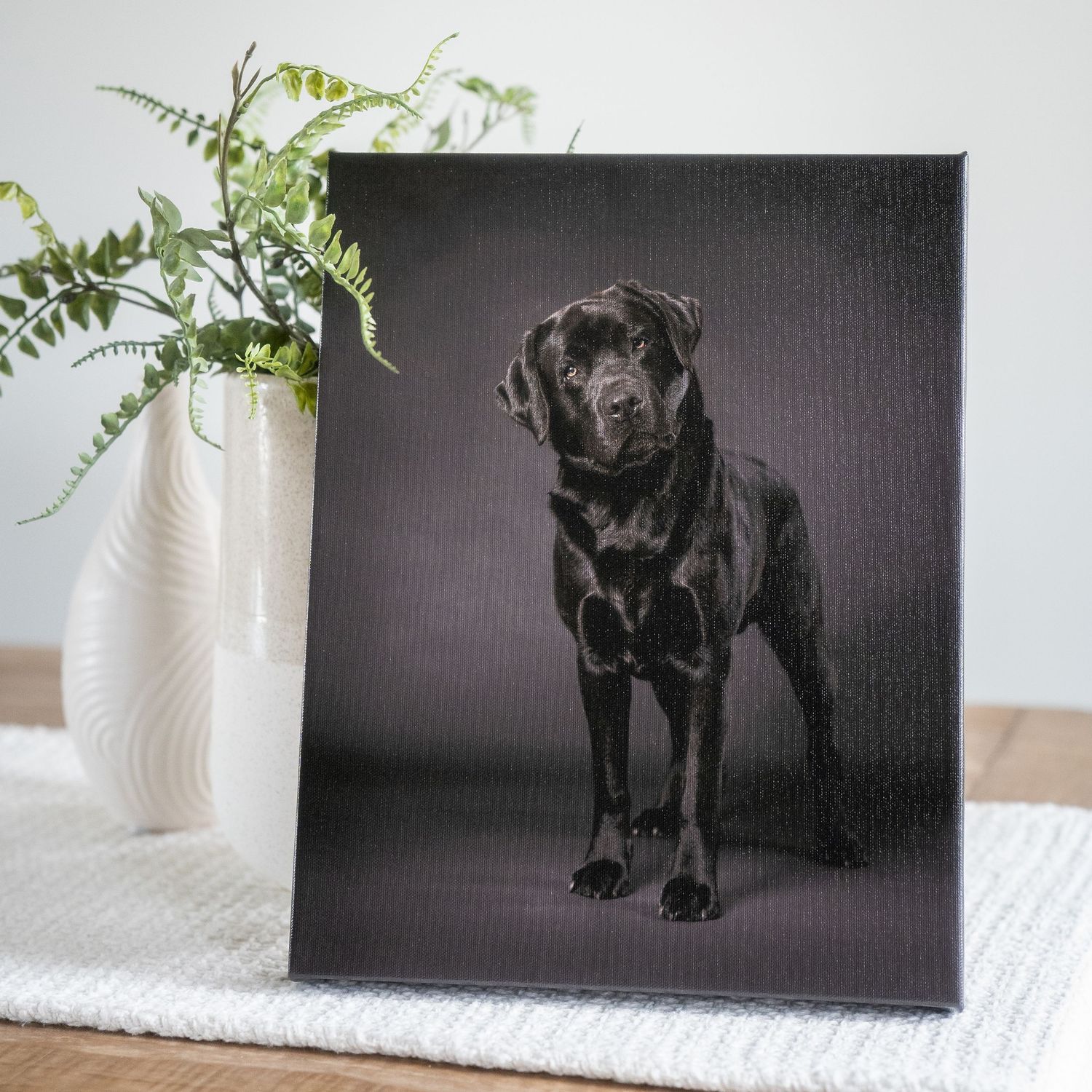 A dramatic studio portrait of a black Labrador standing against a dark background with fern decor.
