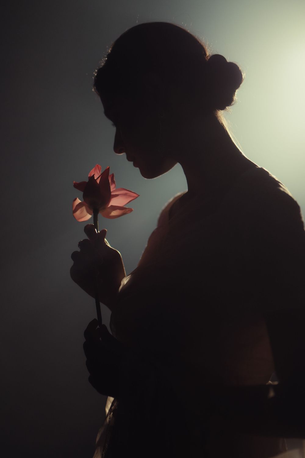 Silhouetted figure holding a single illuminated flower against a dark background in a dramatic backlit composition.