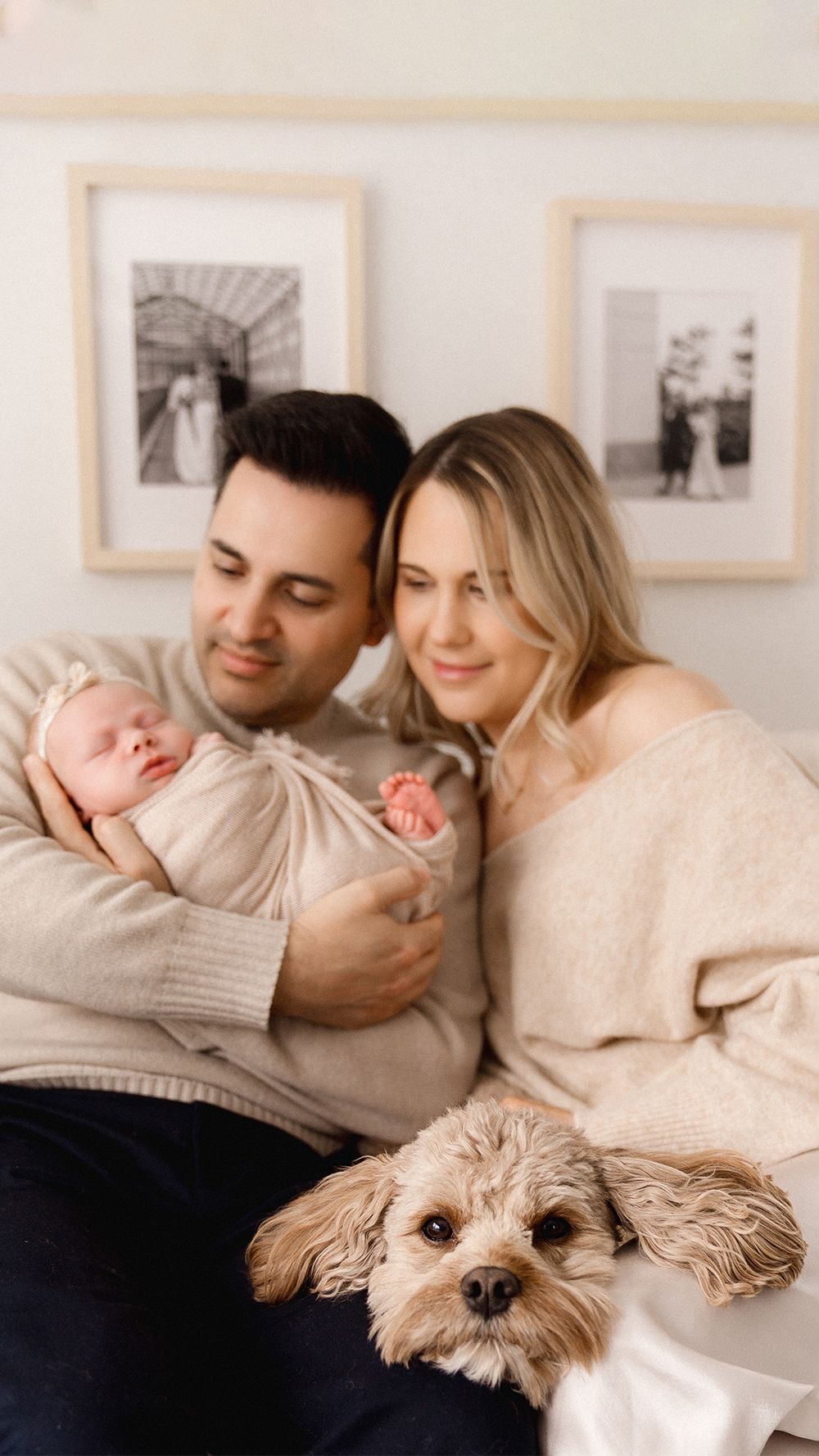 A couple in neutral sweaters cuddles on a couch with their small fluffy dog in a series of intimate lifestyle photos.