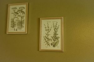 Gallery wall with framed botanical prints in gold frames.