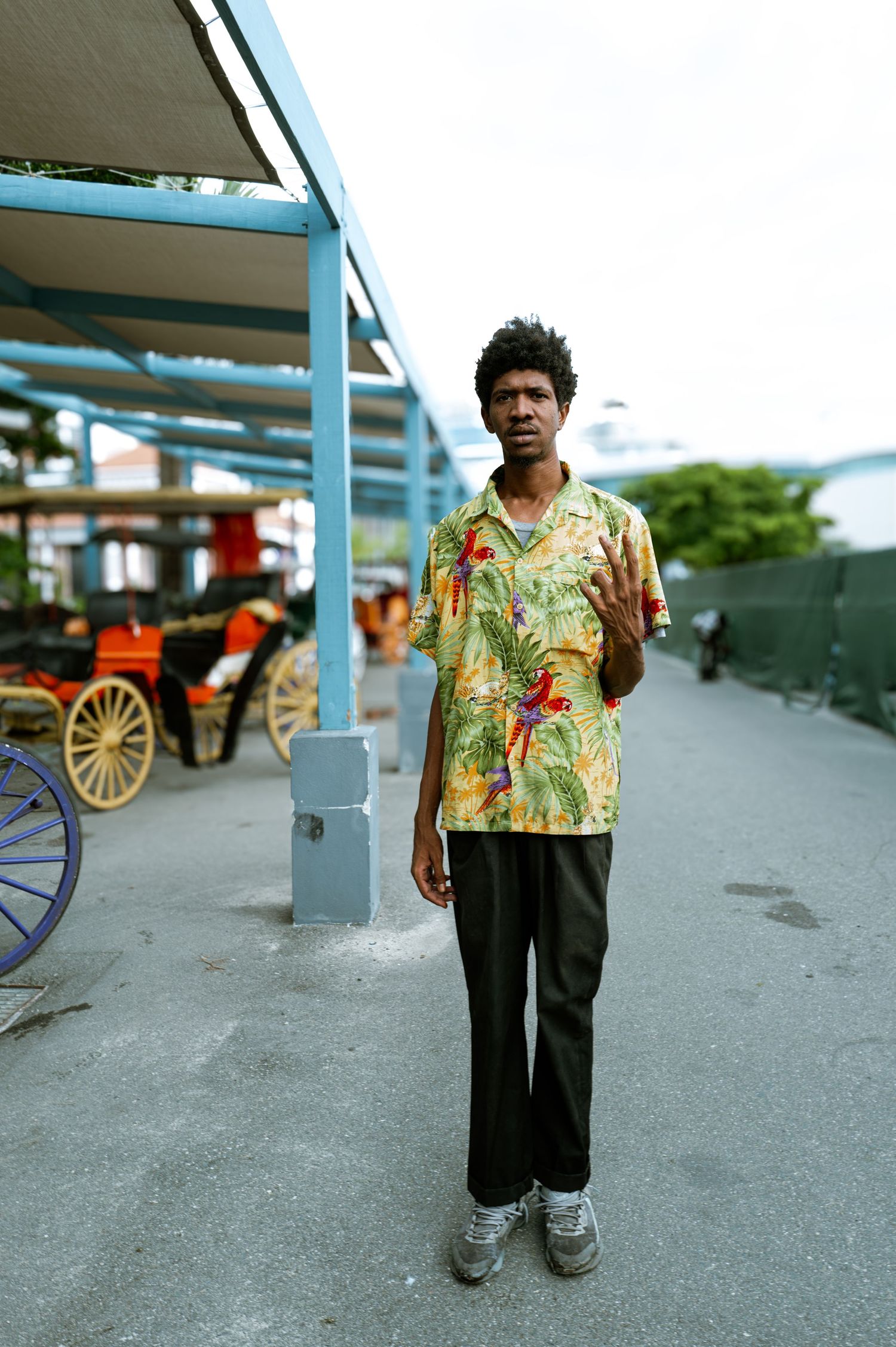 Person wearing vibrant floral shirt stands on pier with horse carriage visible in background.