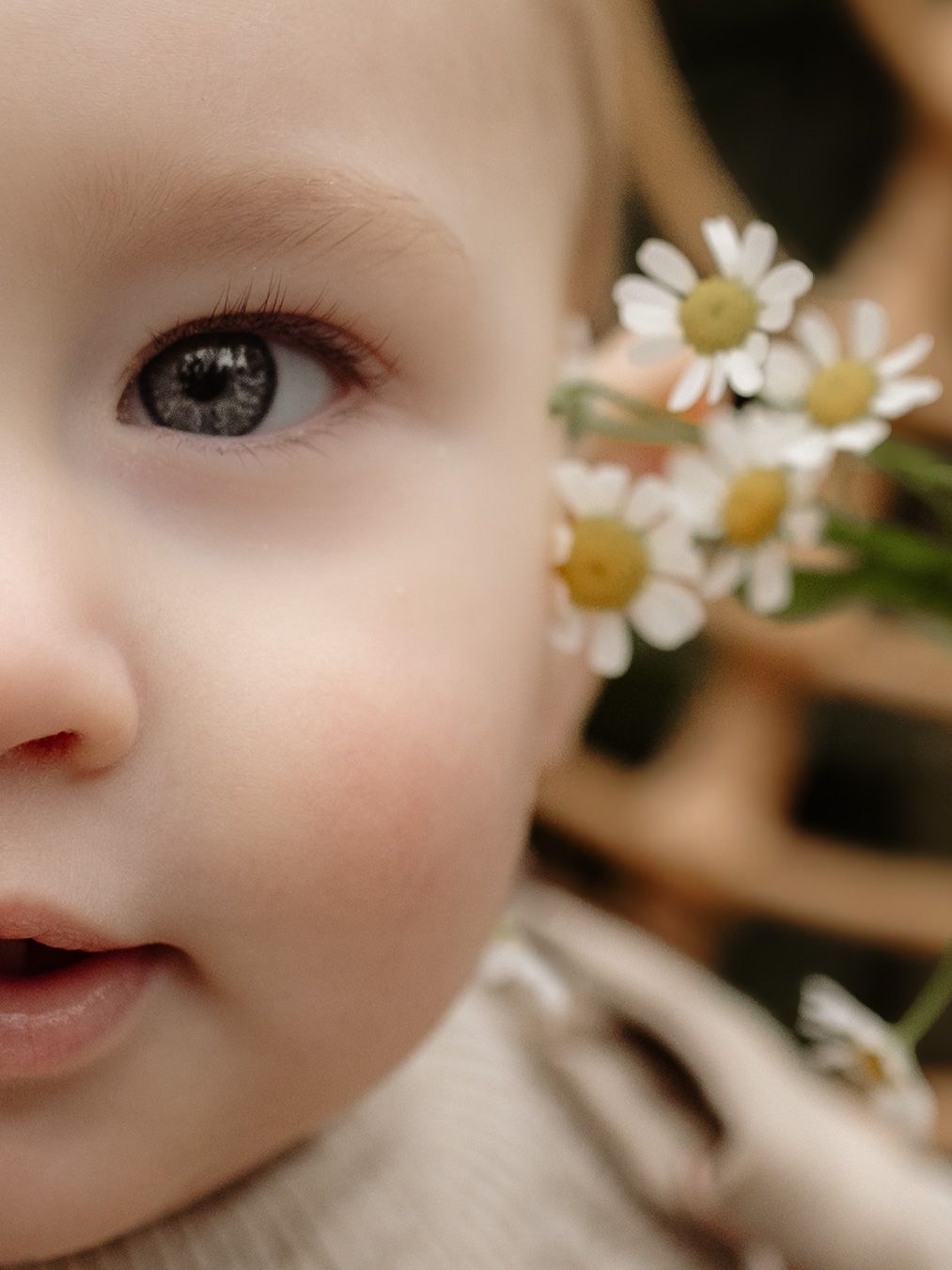 Close-up macro photo of a young child's face next to delicate white daisies with bright yellow centers.