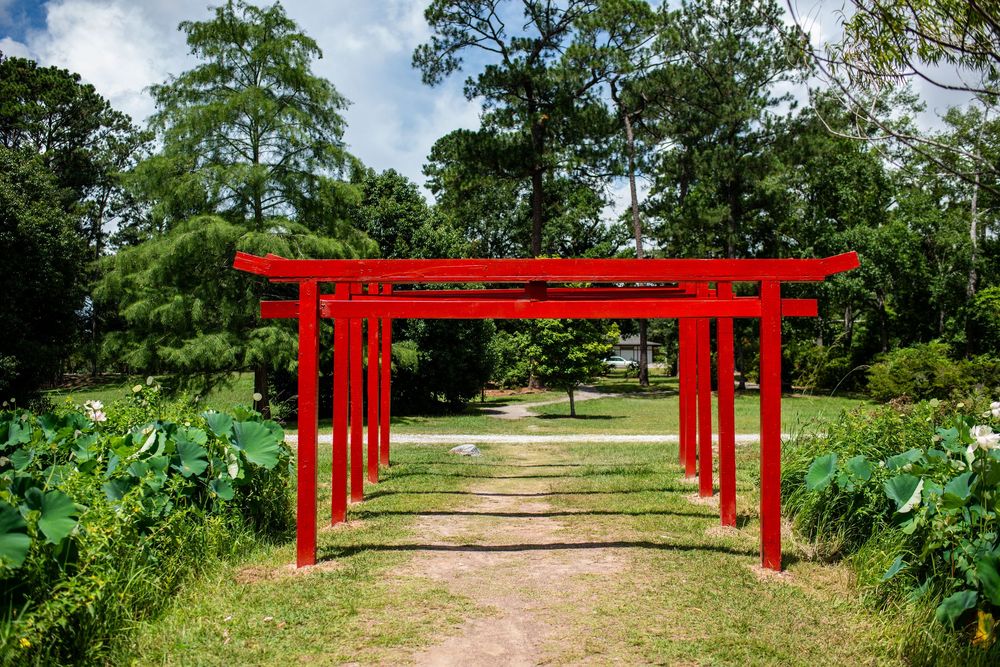 A series of bright red torii gates line a dirt path through lush green gardens creating a tranquil walkway.