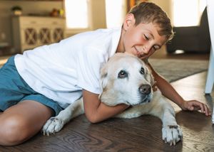 Smiling boy in a white shirt and shorts hugs a large cream-colored dog lying on a hardwood floor in a bright living room.