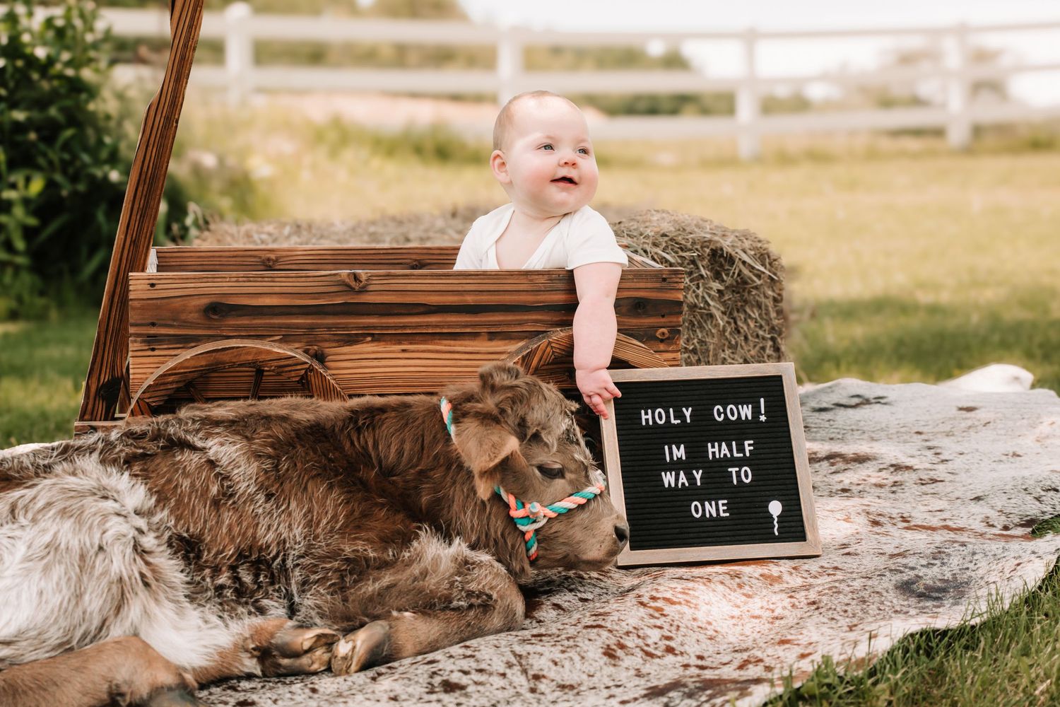 A dreamy wedding photo series taken at sunset with a rustic bench and tall grass setting.
