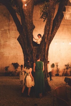 A series of sepia-toned photos showing people standing by a large tree trunk in dim evening lighting.