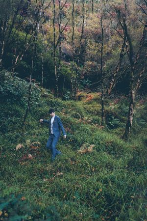A person in blue clothing walks through a misty autumn forest with tall trees and green undergrowth on a sloping hillside.