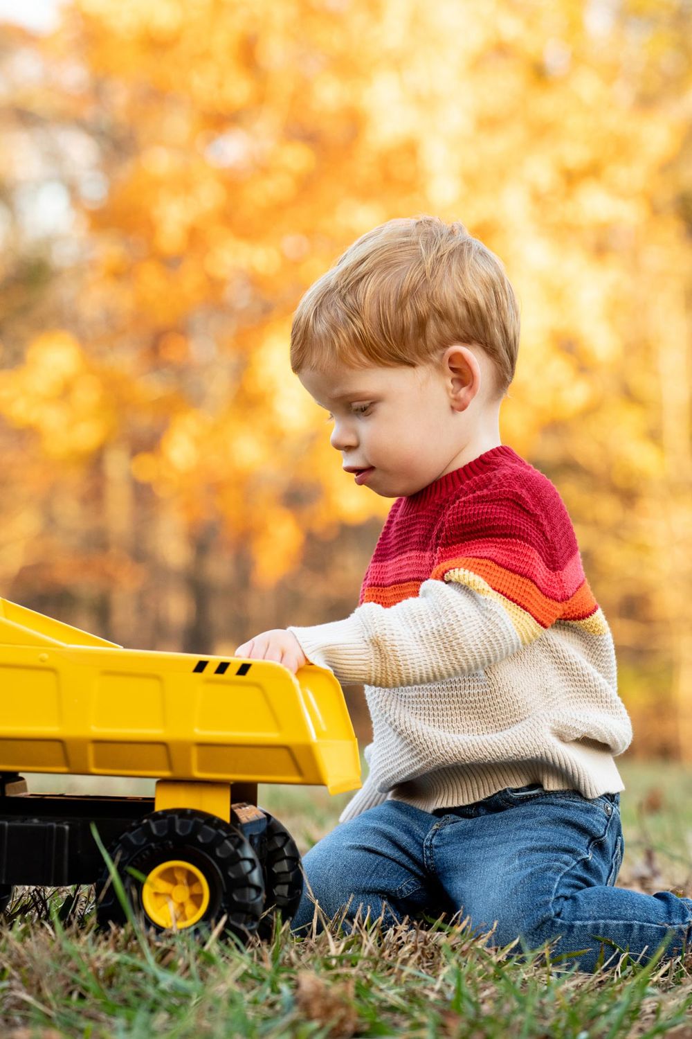 Young child in a red and cream sweater playing with a yellow toy dump truck on grass during autumn.