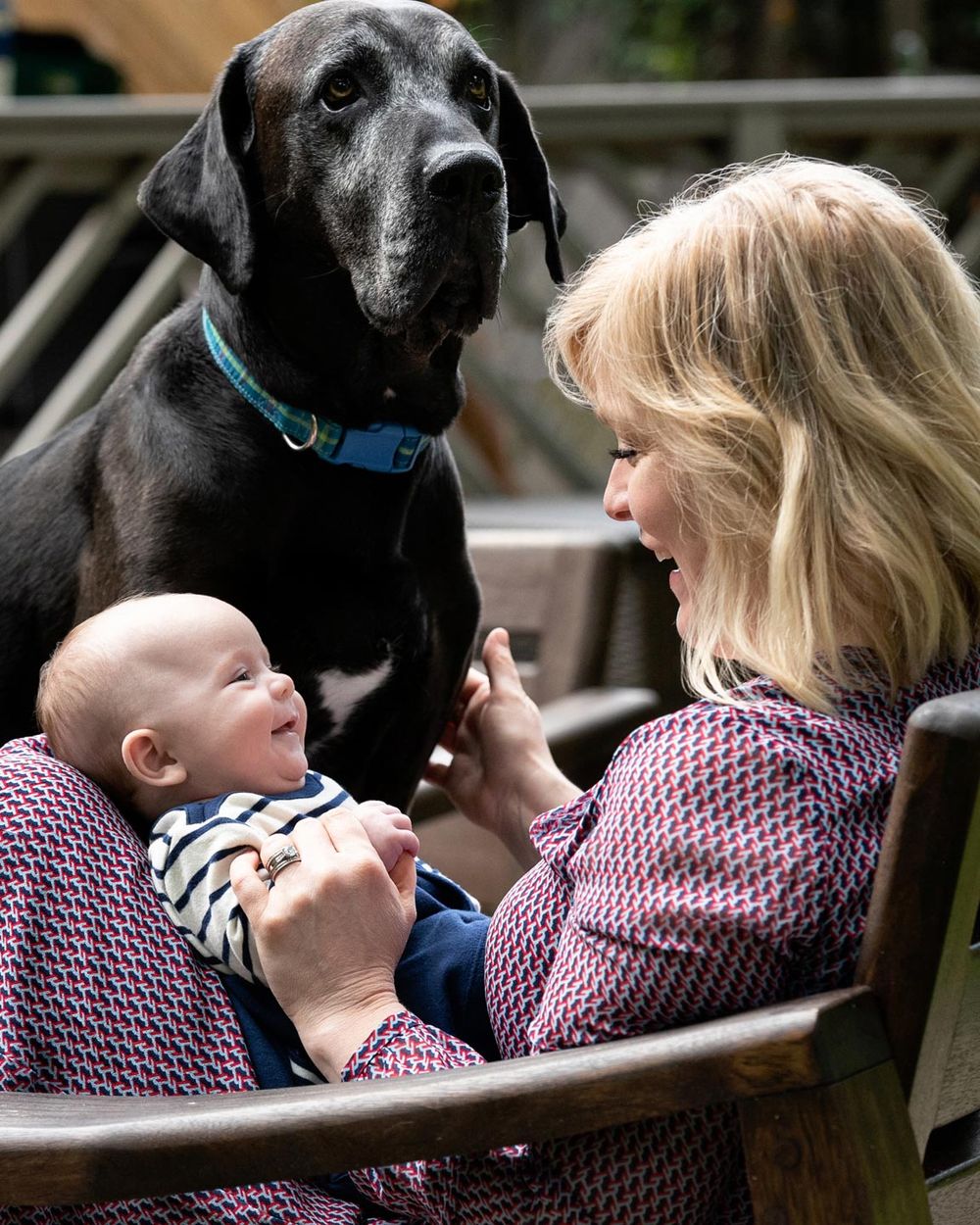 A black dog and someone share a sweet bonding moment in a series of connected photos showing affection and interaction.