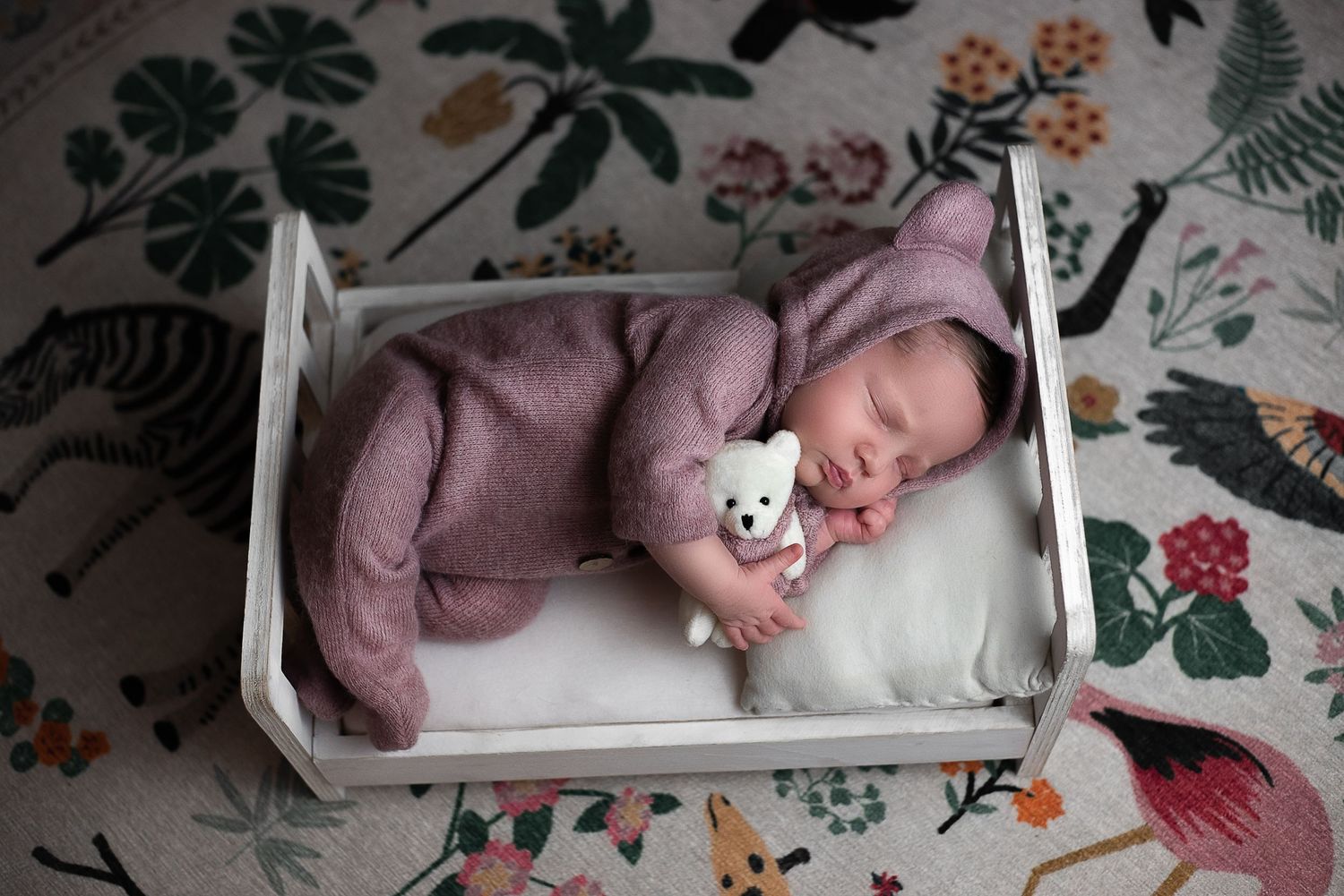 Citrus County, FL Newborn Photographer