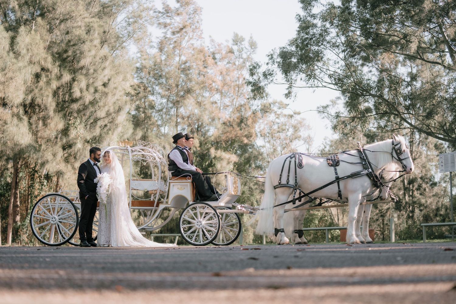 Bride in a white gown and groom in a dark suit stand beside a white horse-drawn carriage with a driver on a tree-lined road.