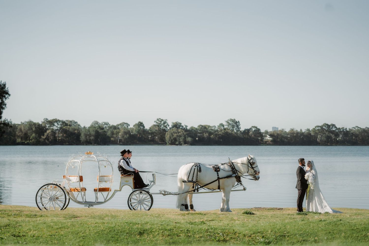 Bride and groom stand by a lake as a white horse pulls a fairytale carriage driven by a coachman on a grassy lawn at their wedding.