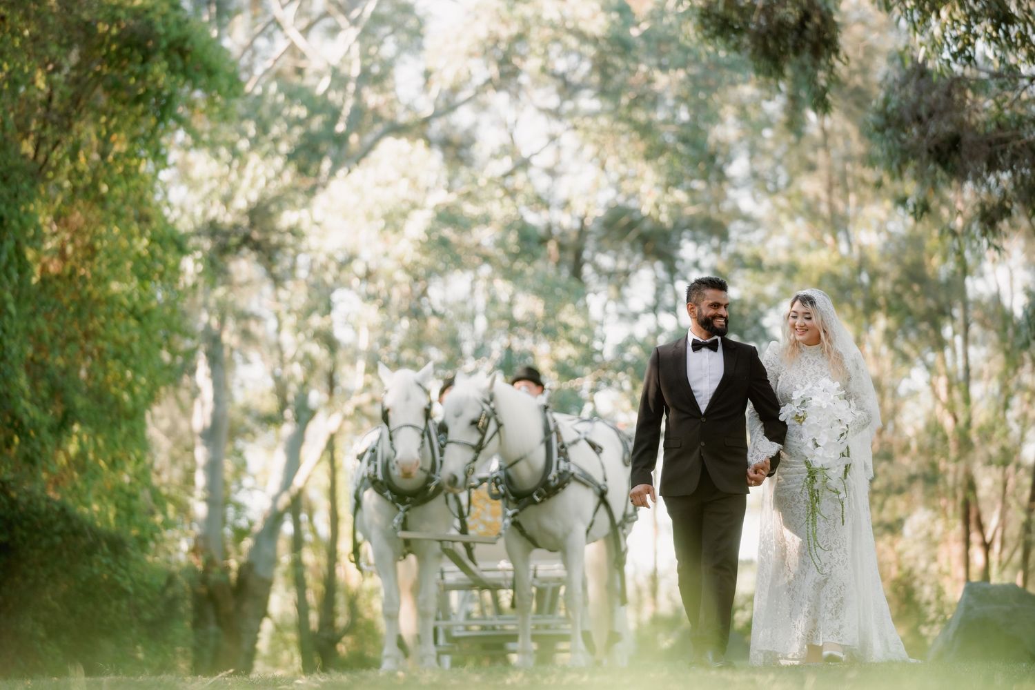 Bride and groom walk hand in hand beside a white horse-drawn carriage in a sunlit eucalyptus forest on their wedding day.