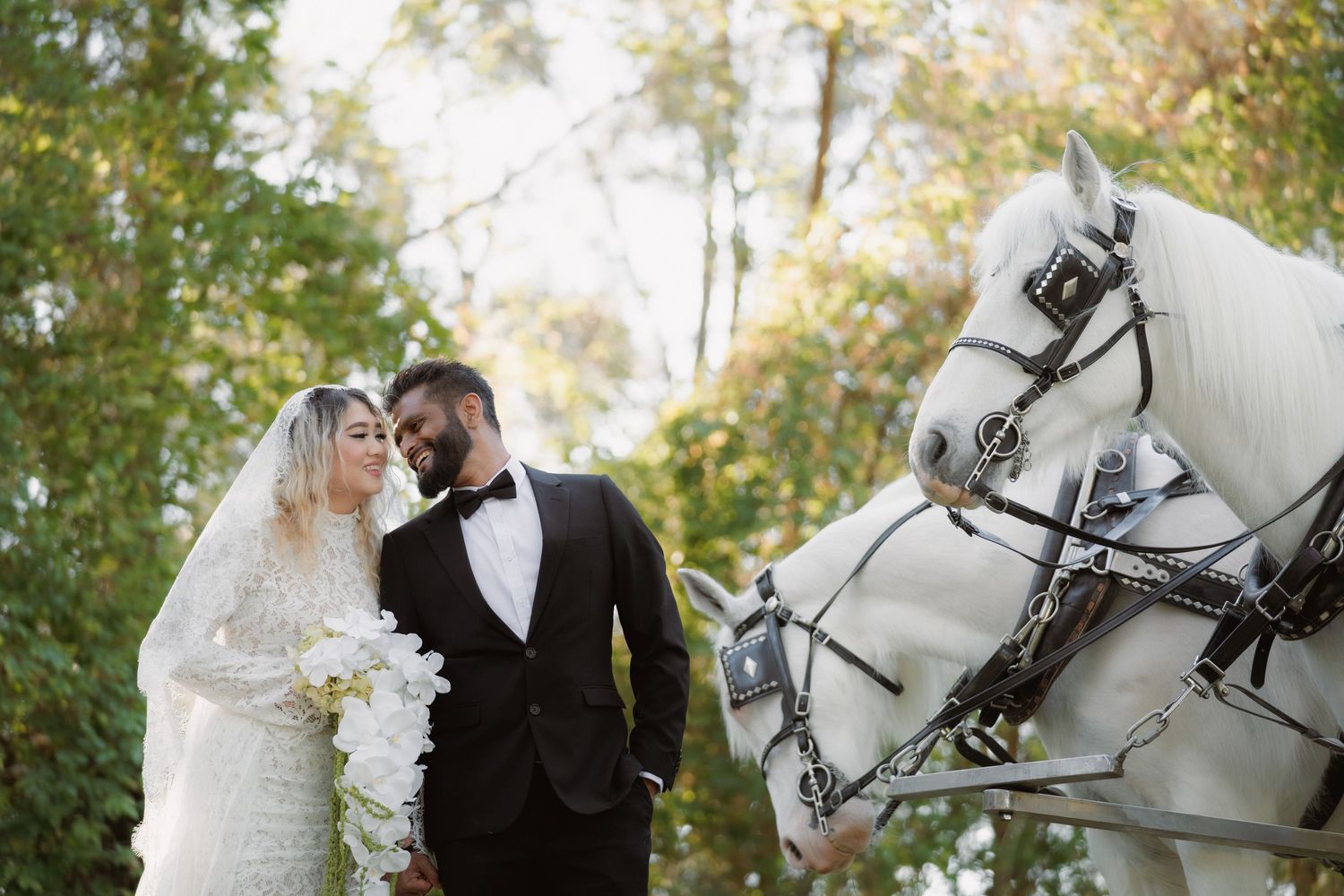 Bride in a lace gown and veil holding a white bouquet embraces her groom in a black tuxedo beside two white horses in a sunlit park.