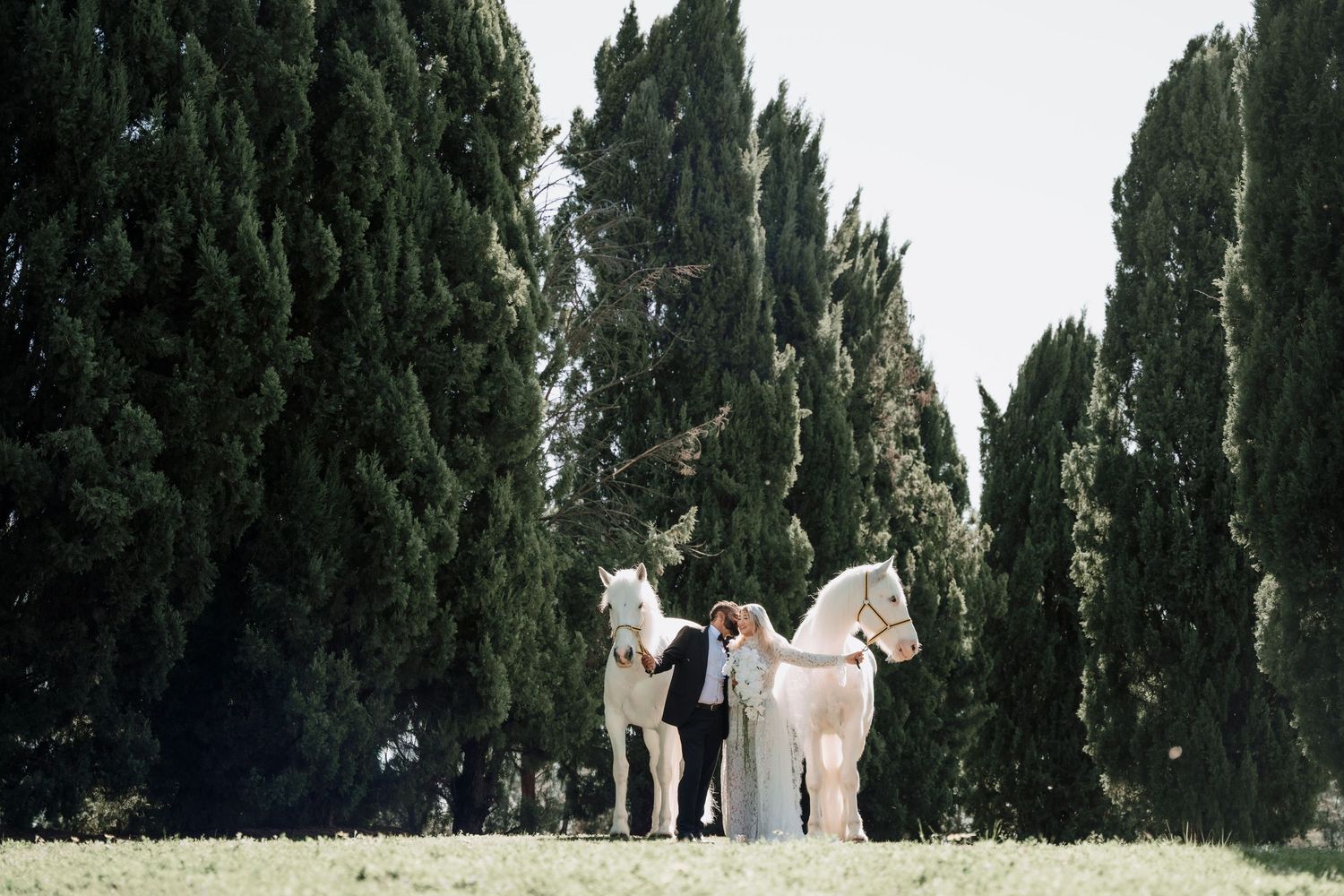Bride and groom stand between two white horses on a grassy lawn surrounded by tall green cypress trees.