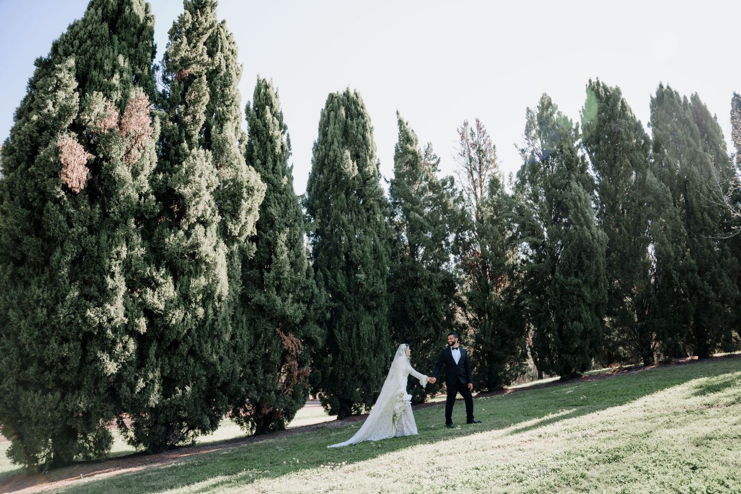 Bride in a long white veil and gown walks beside a groom in a dark suit on a sunlit grassy lawn framed by tall cypress trees.