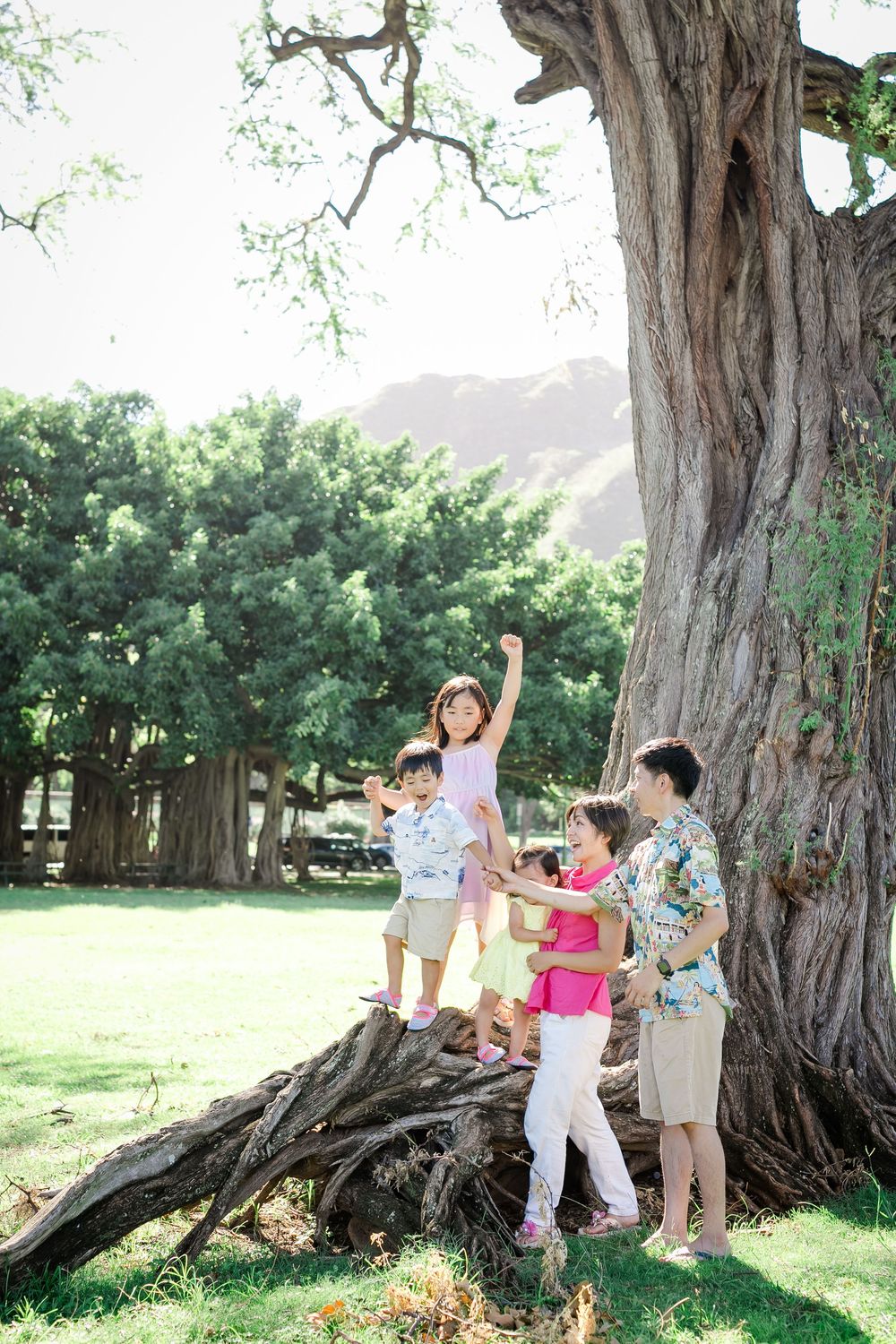 Family with children playing on large tree roots in a lush green park with diamond head in the background in kapiolani park