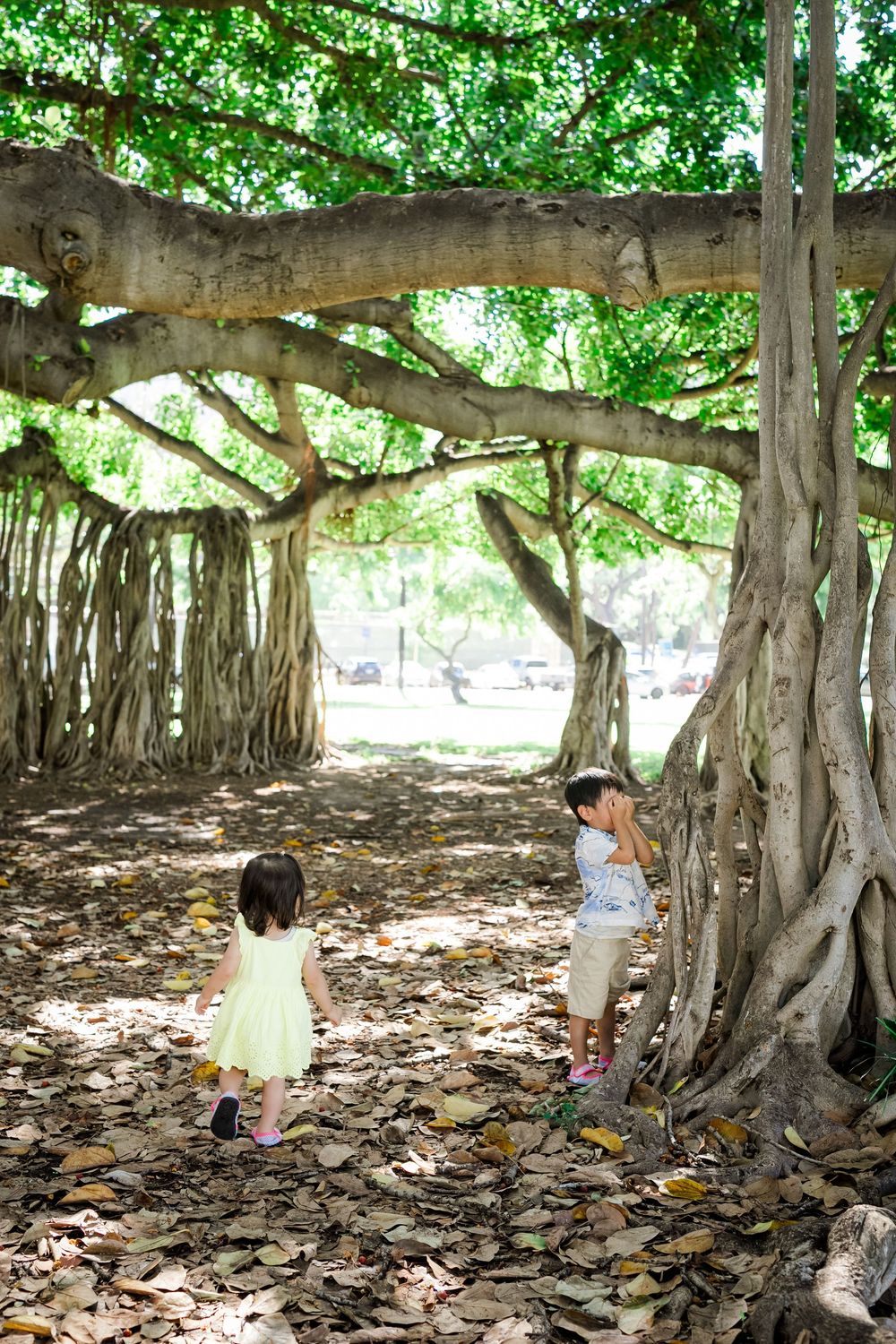 Two children playing hide and seek under a banyan tree at Kapiolani Park in Honolulu, Hawaii
