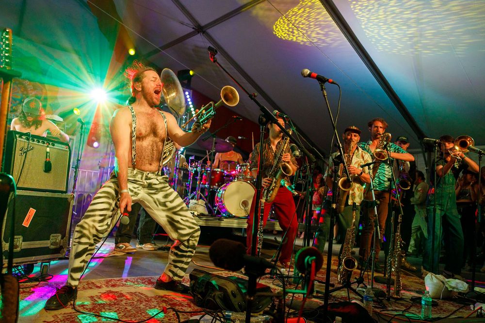 Energetic live band performance with shirtless dancer in zebra pants, brass section, and colorful stage lighting.