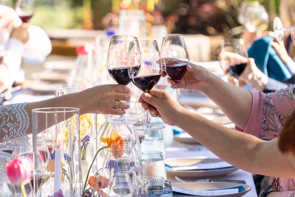 People toasting with red wine glasses at an elegant outdoor garden dinner party on a sunny day.