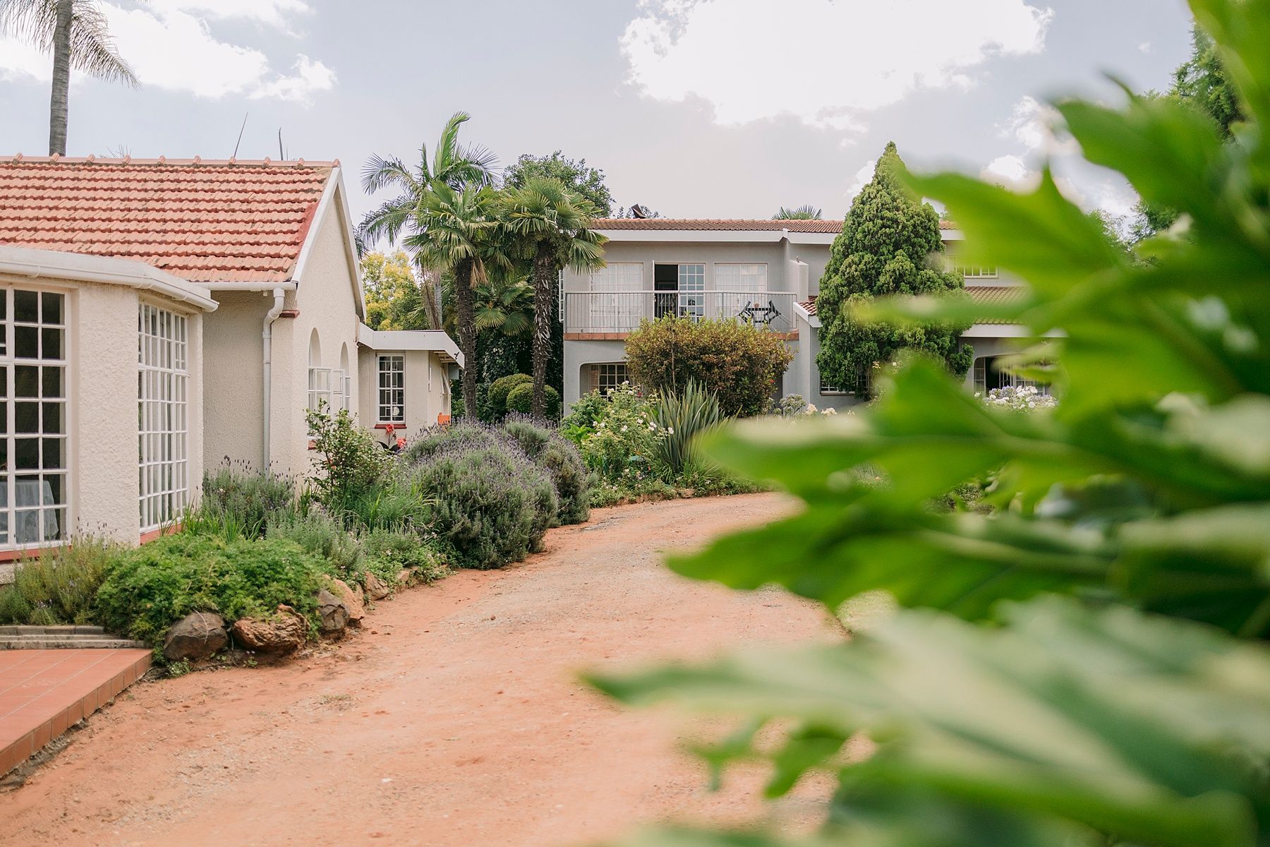 Charming white cottage with red tile roof surrounded by lush gardens and red dirt pathway in a sunny suburban setting.