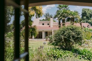 A lush garden with tropical plants frames a view of a charming beige house with a red-tiled roof.