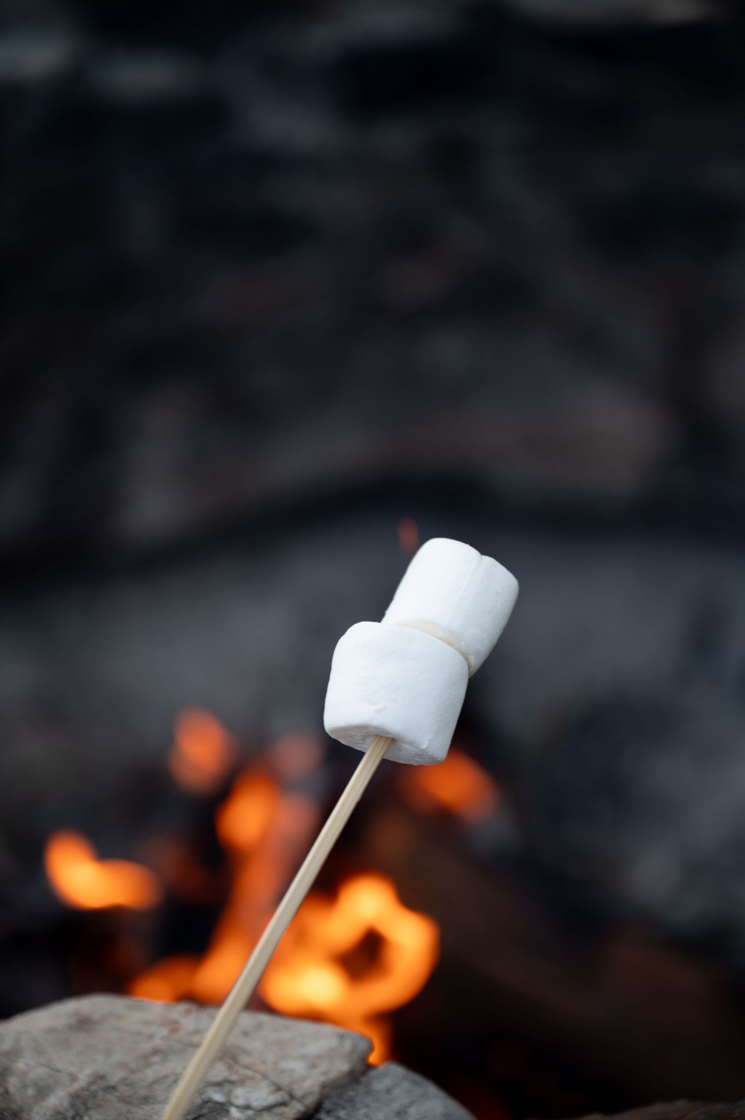 Two white marshmallows on a wooden skewer being roasted over a glowing campfire outdoors.